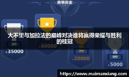 中欧体育